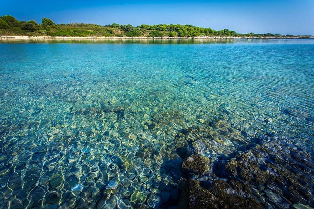 Apartment Lorenzo Pomer Εξωτερικό φωτογραφία