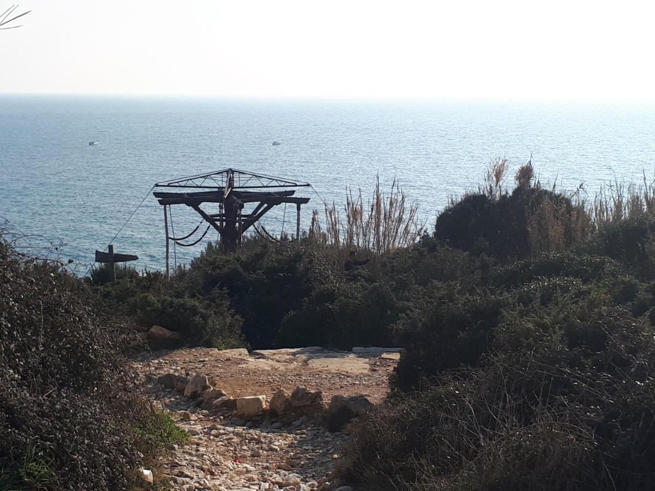 Apartment Lorenzo Pomer Εξωτερικό φωτογραφία